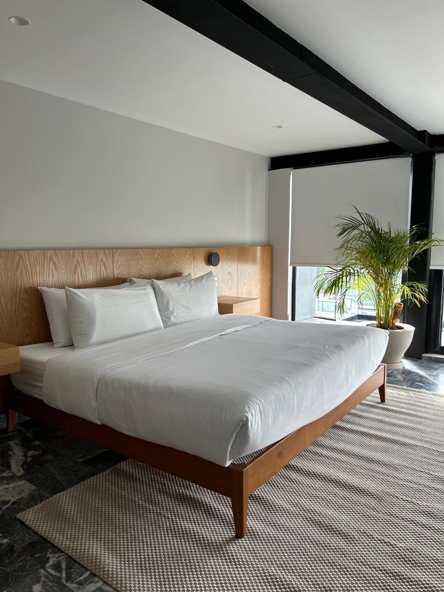 Arquimedes 138 By Wynwood House Aparthotel Mexico-stad Buitenkant foto